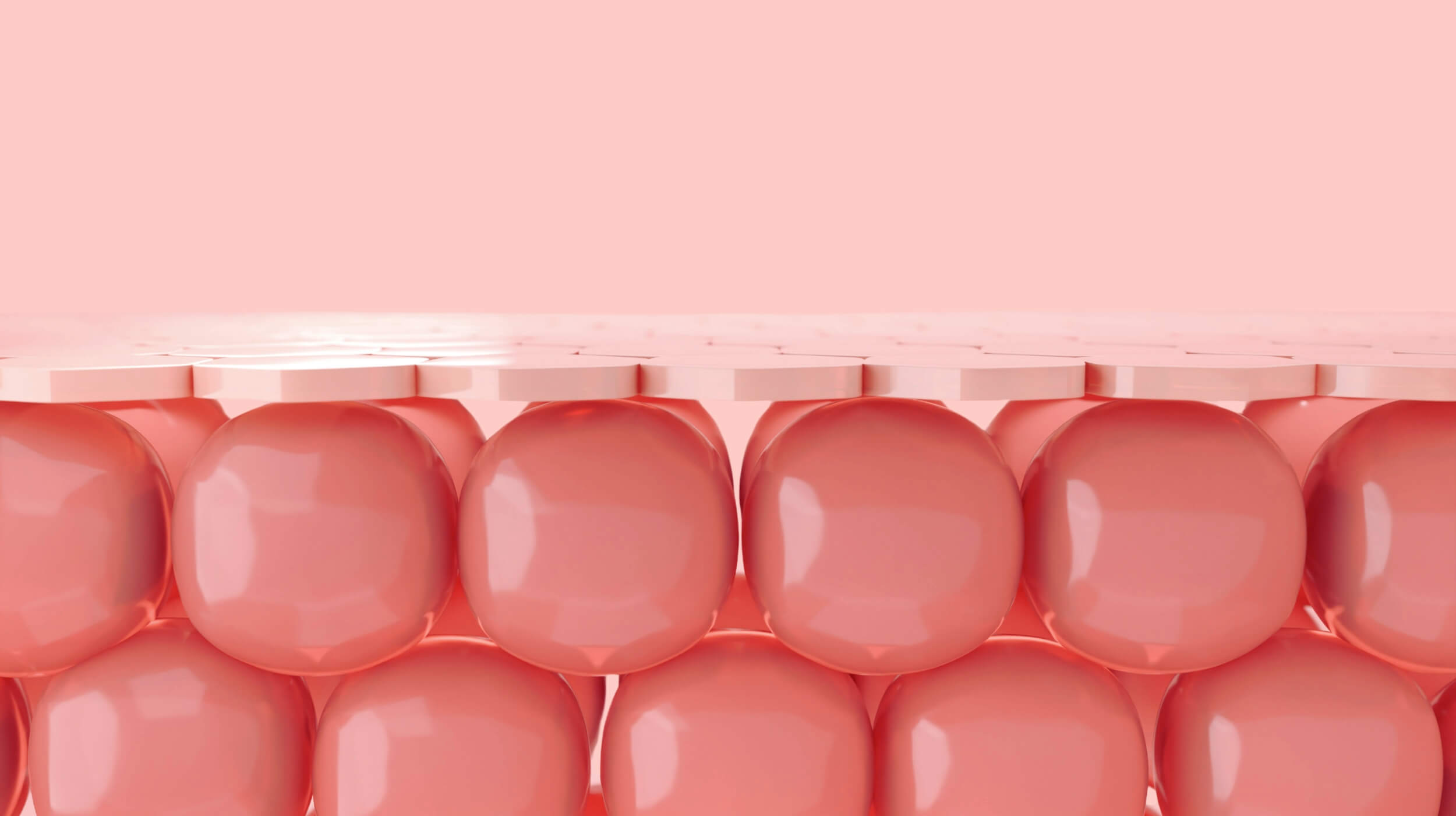 Collagen 101. What Are the Benefits of Collagen Powder?